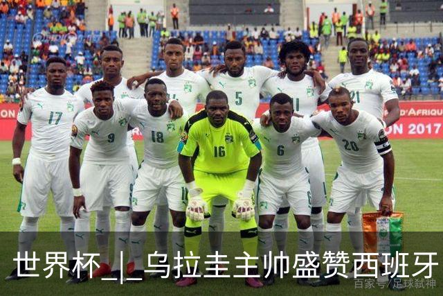 世界杯 | 乌拉圭主帅盛赞西班牙“精致足球”