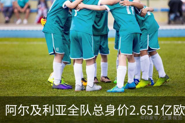 阿尔及利亚全队总身价2.651亿欧，26名球员中马扎的4500万欧最高