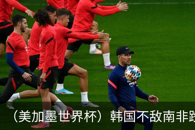 （美加墨世界杯）韩国不敌南非跌至小组第三 出线前景待定
